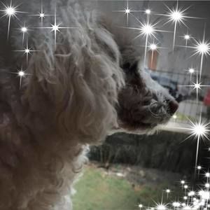 Meet your Posher, Jose